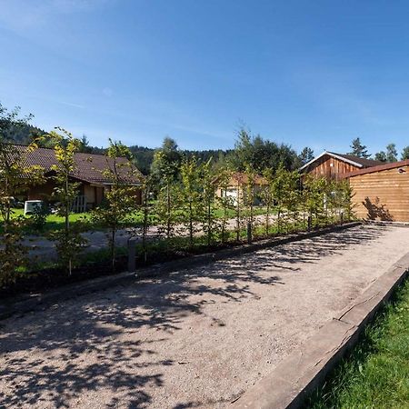 Chalet Du Bien-Etre 15P. Piscine,Spa, Hammam,Petanque,Basket Gérardmer Εξωτερικό φωτογραφία
